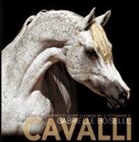 Cavalli Cavalli