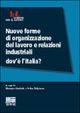 Nuove forme di organizzazione del lavoro e relazioni industriali. Dove L'Italia? Nuove forme di organizzazione del lavoro e relazioni industriali. Dove L'Italia?