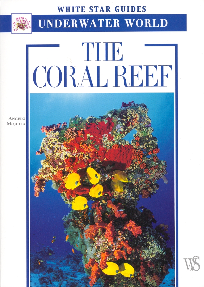 The Coral Reef The Coral Reef