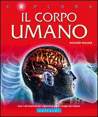 Il Corpo Umano Il Corpo Umano