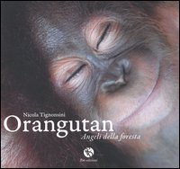 Orangutan, Angeli delle Foresta Orangutan, Angeli delle Foresta