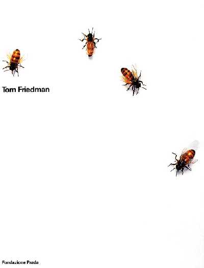 Tom Friedman. [English Ed.]