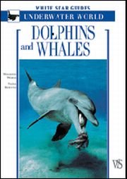 Underwater worlds. Whales and Dolphins. [English Ed.]