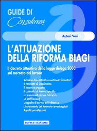 Attuazione della riforma Biagi Attuazione della riforma Biagi