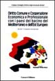 Diritto comune e cooperazione economica e professionale con i paesi del bacino del Mediterraneo e dell'Est europeo Diritto comune e cooperazione economica e professionale con i paesi del bacino del Mediterraneo e dell'Est europeo