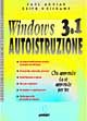 Windows 3.1 autoistruzione. Chi apprende da sé apprende per tre
