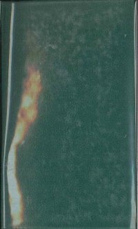 La buona terra-Stirpe di drago. Nobel 1938