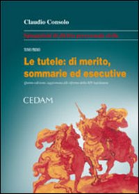 Spiegazioni di diritto processuale civile. Vol. 1: Le tutele: di merito, sommarie ed esecutive Spiegazioni di diritto processuale civile. Vol. 1: Le tutele: di merito, sommarie ed esecutive