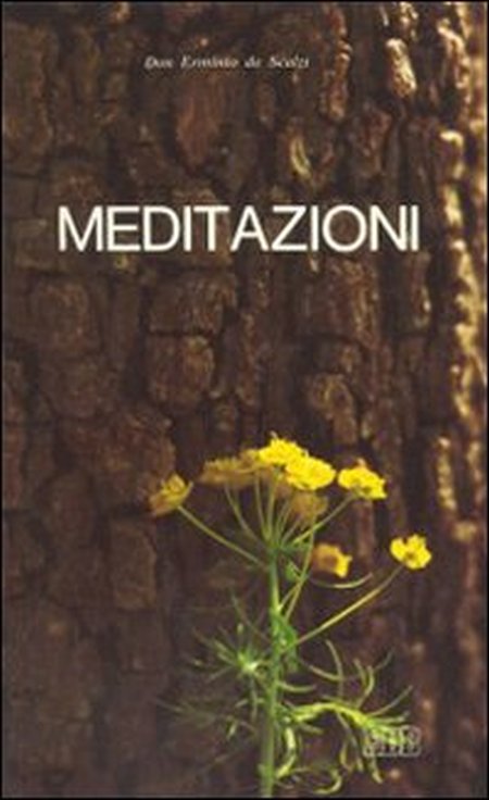 Meditazioni. Per preadolescenti e adolescenti Meditazioni. Per preadolescenti e adolescenti