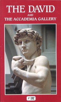 The David and the Accademia Gallery