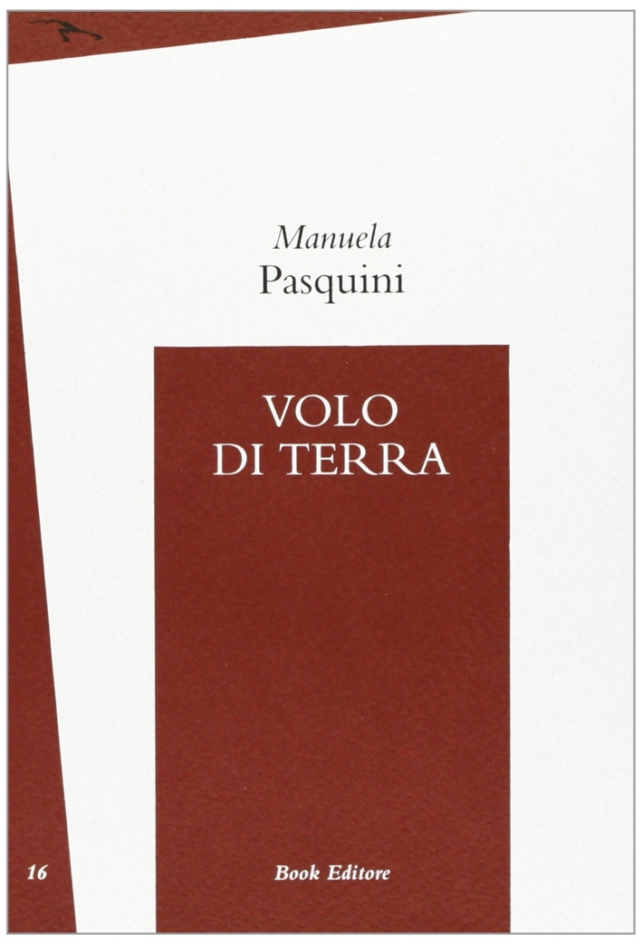 Volo di terra Volo di terra