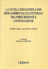 La tutela privatistica dei beni ambientali e culturali tra prescrizione e cooperazione. Modello inglese e prospettive italiane La tutela privatistica dei beni ambientali e culturali tra prescrizione e cooperazione. Modello inglese e prospettive italiane