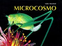 Microcosmo