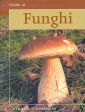 Guida ai funghi Guida ai funghi