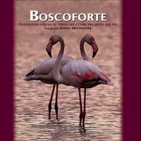 Boscoforte. Suggestiva Lingua di Terra nel Cuore del Delta del Po