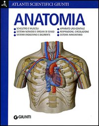 Anatomia Anatomia