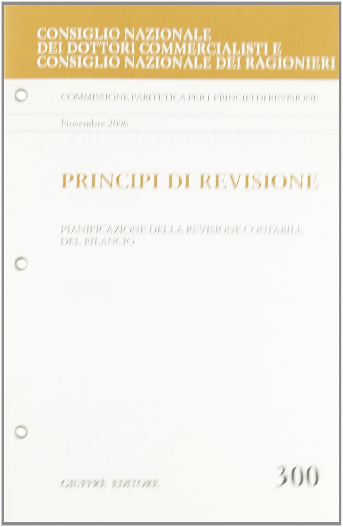 Principi di revisione. Documento 300. Pianificazione della revisione contabile del bilancio Principi di revisione. Documento 300. Pianificazione della revisione contabile del bilancio