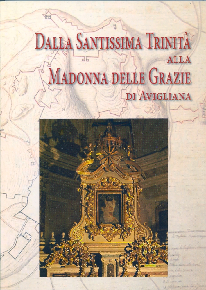 Dalla Santissima Trinità alla Madonna delle Grazie di Avigliana Dalla Santissima Trinità alla Madonna delle Grazie di Avigliana