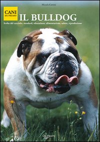 Il bulldog Il bulldog