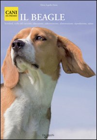 Beagle Beagle