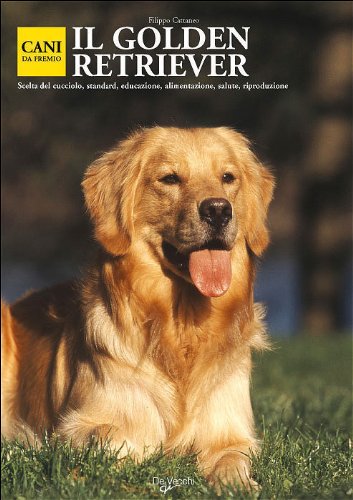 Golden retriever Golden retriever