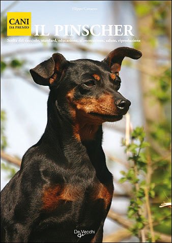 Il pinscher Il pinscher