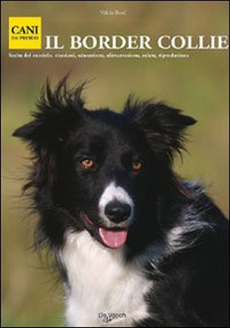Il border collie Il border collie