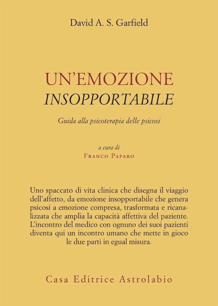 Un'emozione insopportabile. Guida alla psicoterapia delle psicosi Un'emozione insopportabile. Guida alla psicoterapia delle psicosi