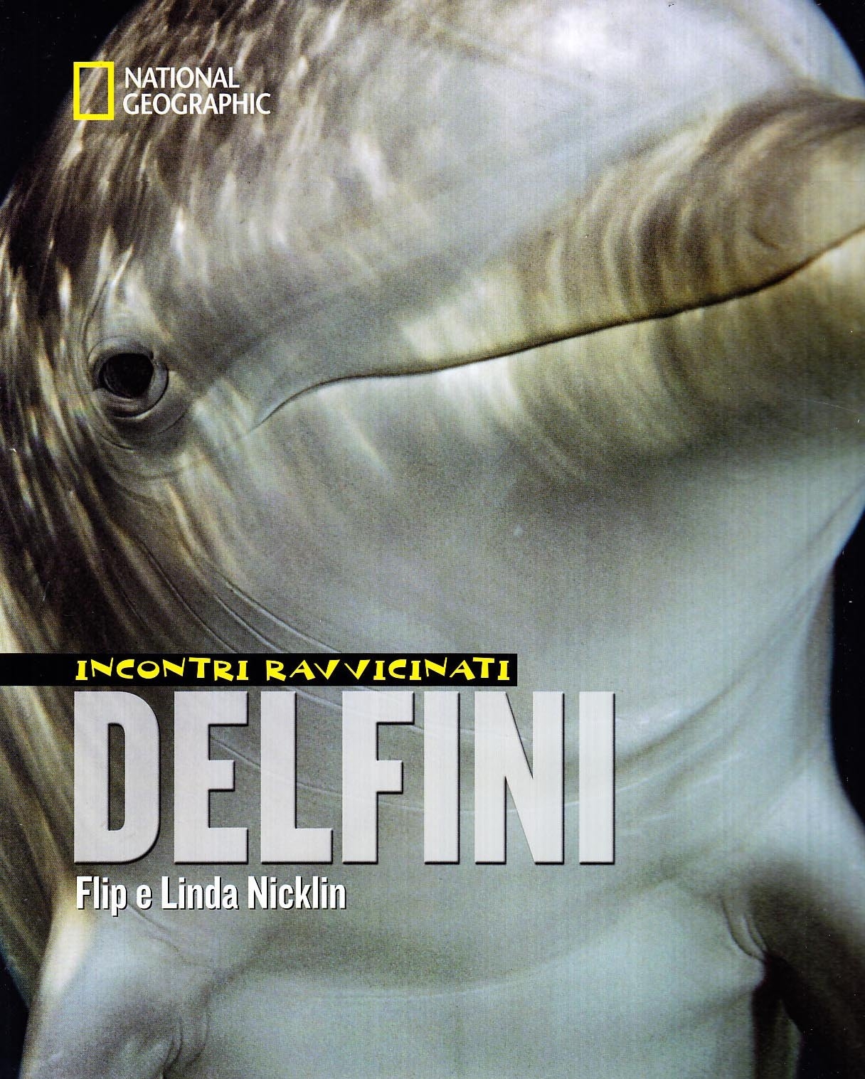 Delfini. Incontri Ravvicinati Delfini. Incontri Ravvicinati