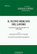 Il nuovo mercato del lavoro Il nuovo mercato del lavoro