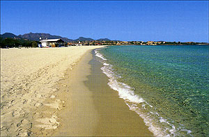 Cartolina. Olbia (OT) - Spiaggia di Pittolongu Cartolina. Olbia (OT) - Spiaggia di Pittolongu
