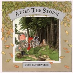 After the Storm After the Storm