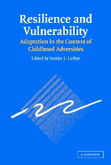 Resilience and Vulnerability Resilience and Vulnerability