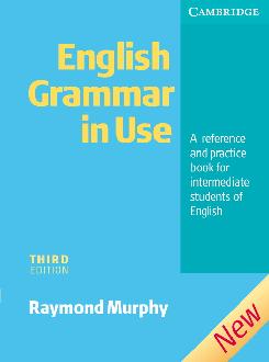 English Grammar In Use without Answers English Grammar In Use without Answers