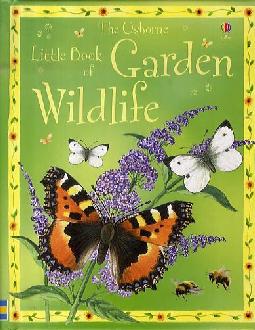 The Little Book of Garden Wildlife The Little Book of Garden Wildlife