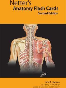 Netter's Anatomy Flash Cards Netter's Anatomy Flash Cards