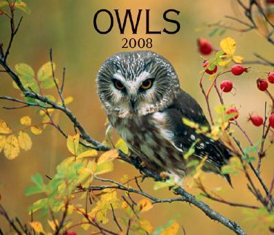Owls 2008 Calendar Owls 2008 Calendar