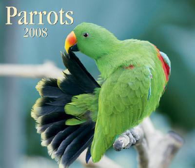 Parrots 2008 Calendar Parrots 2008 Calendar