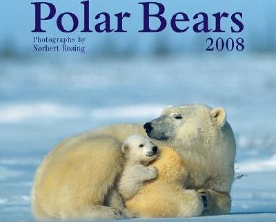 Polar Bears 2008 Calendar Polar Bears 2008 Calendar