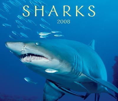 Sharks 2008 Calendar Sharks 2008 Calendar