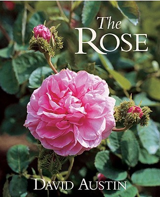 The Rose The Rose