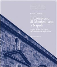 Il complesso di Monteoliveto a Napoli. Analisi, rilievi, documenti, informatizzazione degli archivi