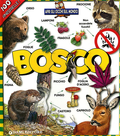 Bosco. Apri gli occhi sul mondo. Ediz. illustrata Bosco. Apri gli occhi sul mondo. Ediz. illustrata