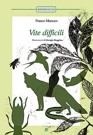 Vite difficili: L'anguilla-L'ape-Le termiti-Il salmone-La volpe-Il cuculo-La rondine. Ediz. illustrata Vite difficili: L'anguilla-L'ape-Le termiti-Il salmone-La volpe-Il cuculo-La rondine. Ediz. illustrata