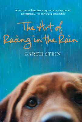 Art of Racing in the Rain Art of Racing in the Rain