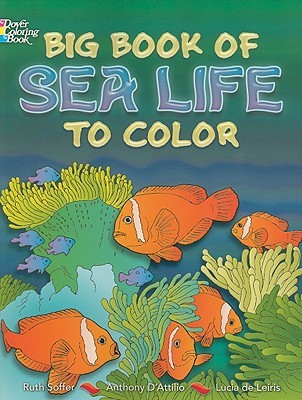 Big Book of Sea Life to Color Big Book of Sea Life to Color