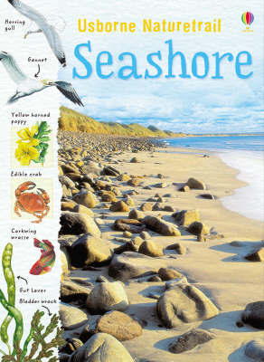 Seashore. Seashore.