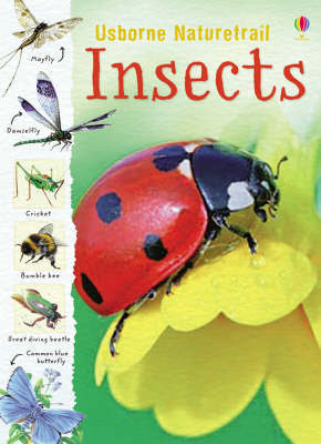 Insects Insects