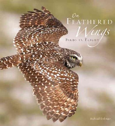 On Feathered Wings On Feathered Wings