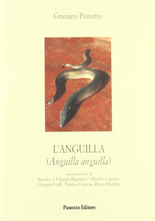 L'anguilla L'anguilla